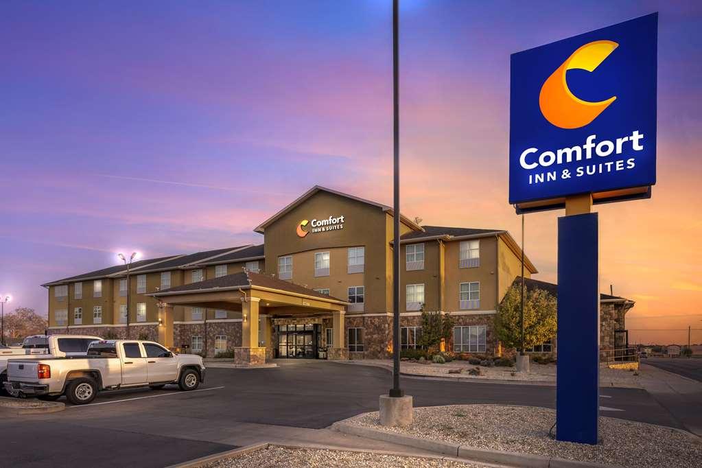 Comfort Inn&Suites Artesia Exterior foto